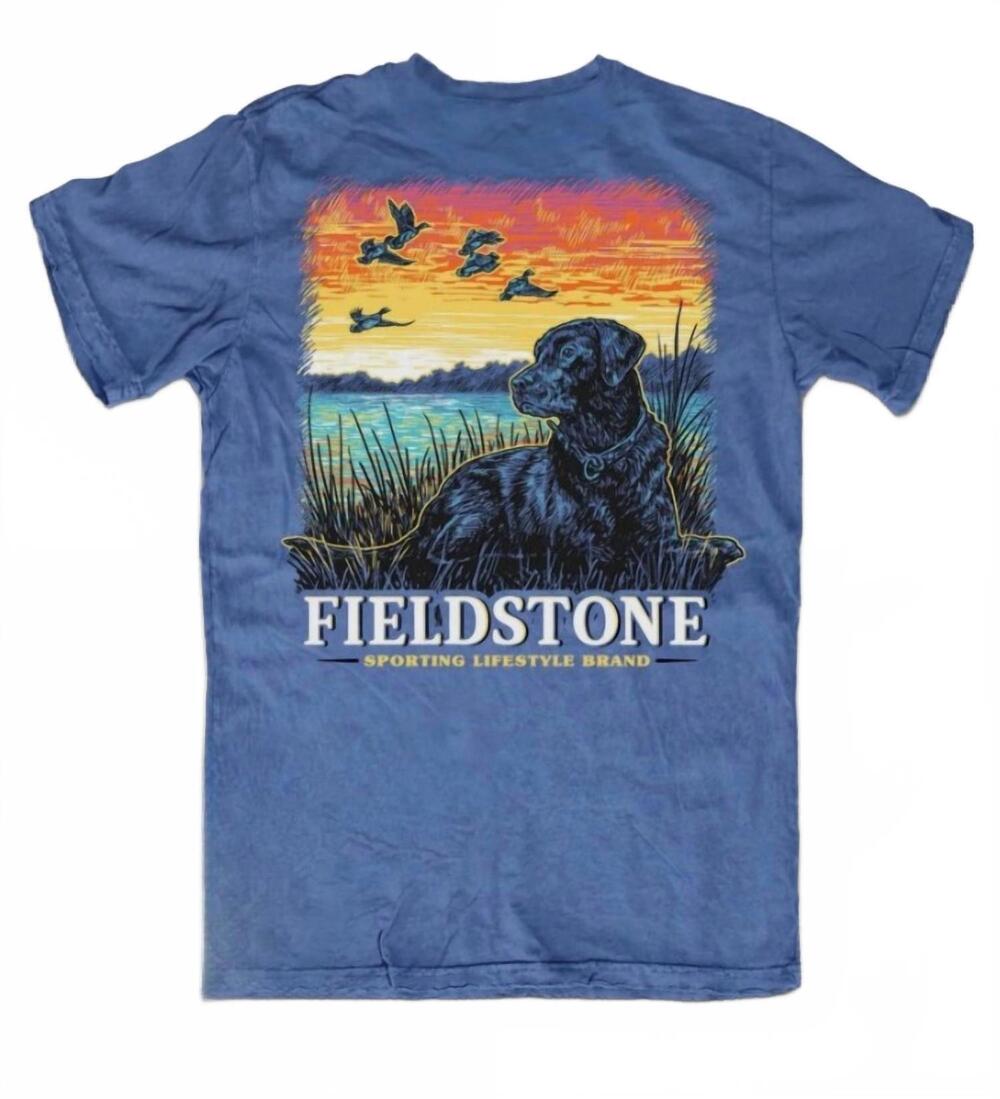 NEW FIELDSTONE boy's lab short sleeve tee in blue